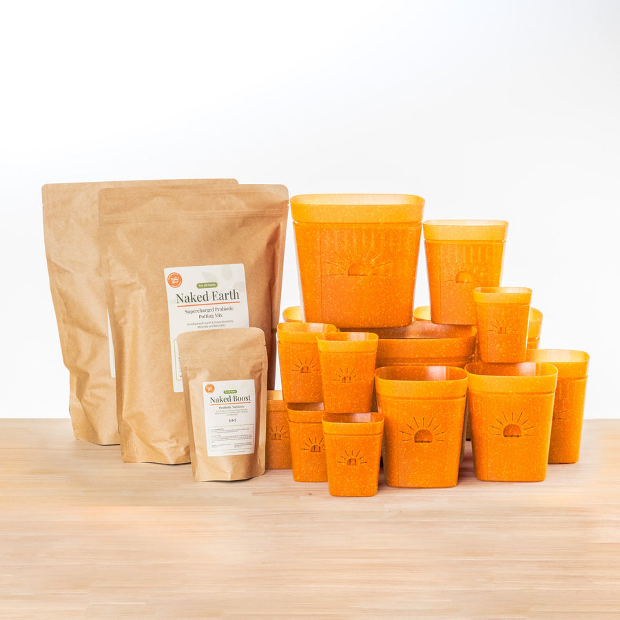 Starter Kit Plus Soil & Fertilizer