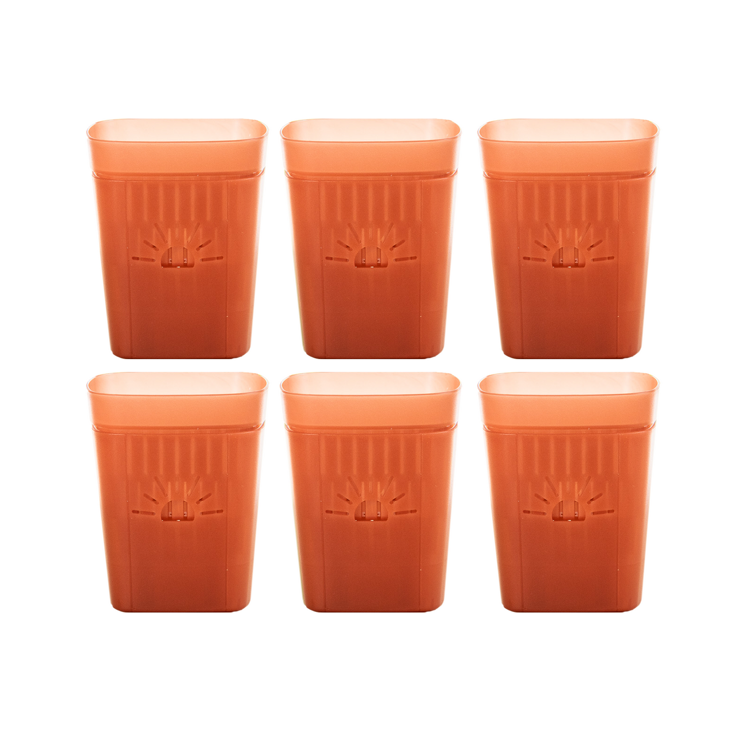 [SKU:3-6PK-Cinnamonbark] REMOVE BADGE