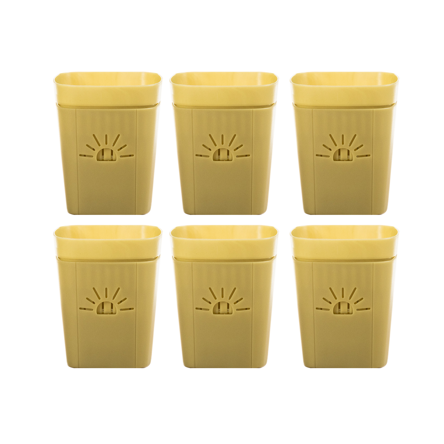 [SKU:3-6PK-Forestfern] REMOVE BADGE