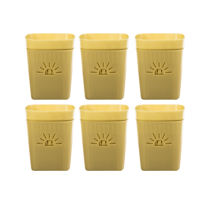 [SKU:3-6PK-Forestfern] REMOVE BADGE