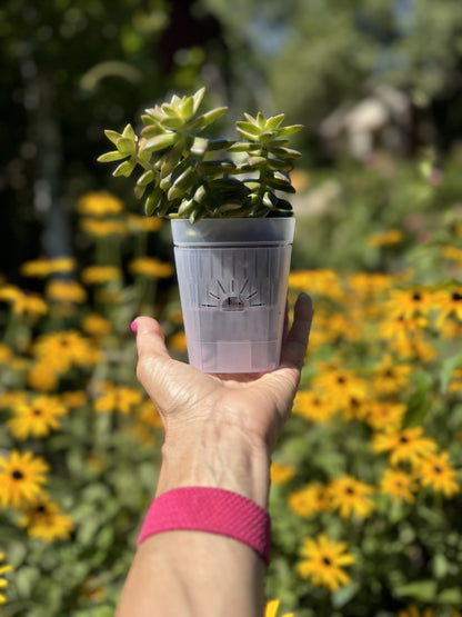 3-Inch "Breathing" Planter