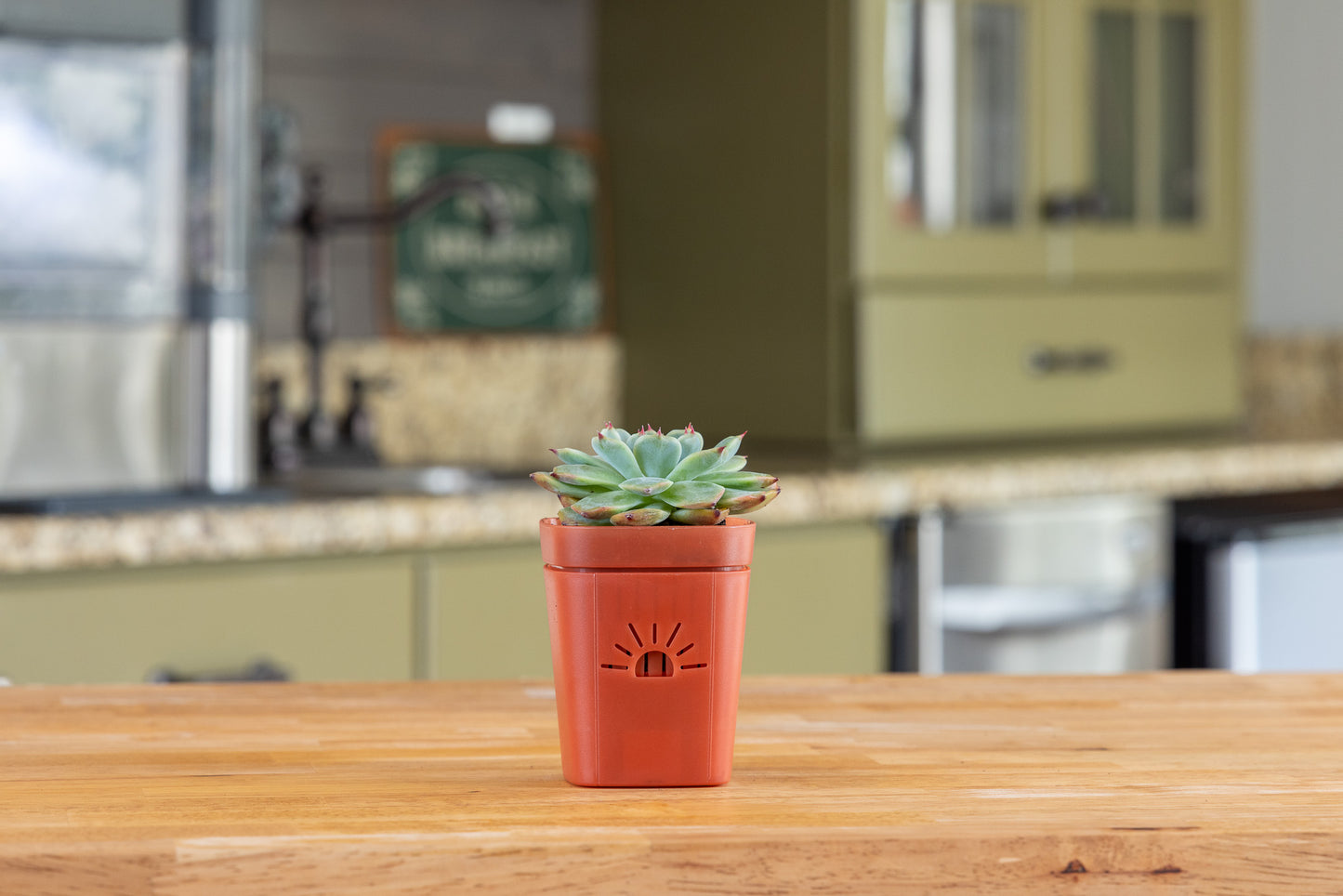 [SKU:PSK-1PK-PLUS-Cinnamon-Bark,PSK-2PK-PLUS-Cinnamon-Bark,PSK-1PK-Cinnamon-Bark,PSK-2PK-Cinnamon-Bark,SAMPLER-1PK-Cinnamon-Bark]