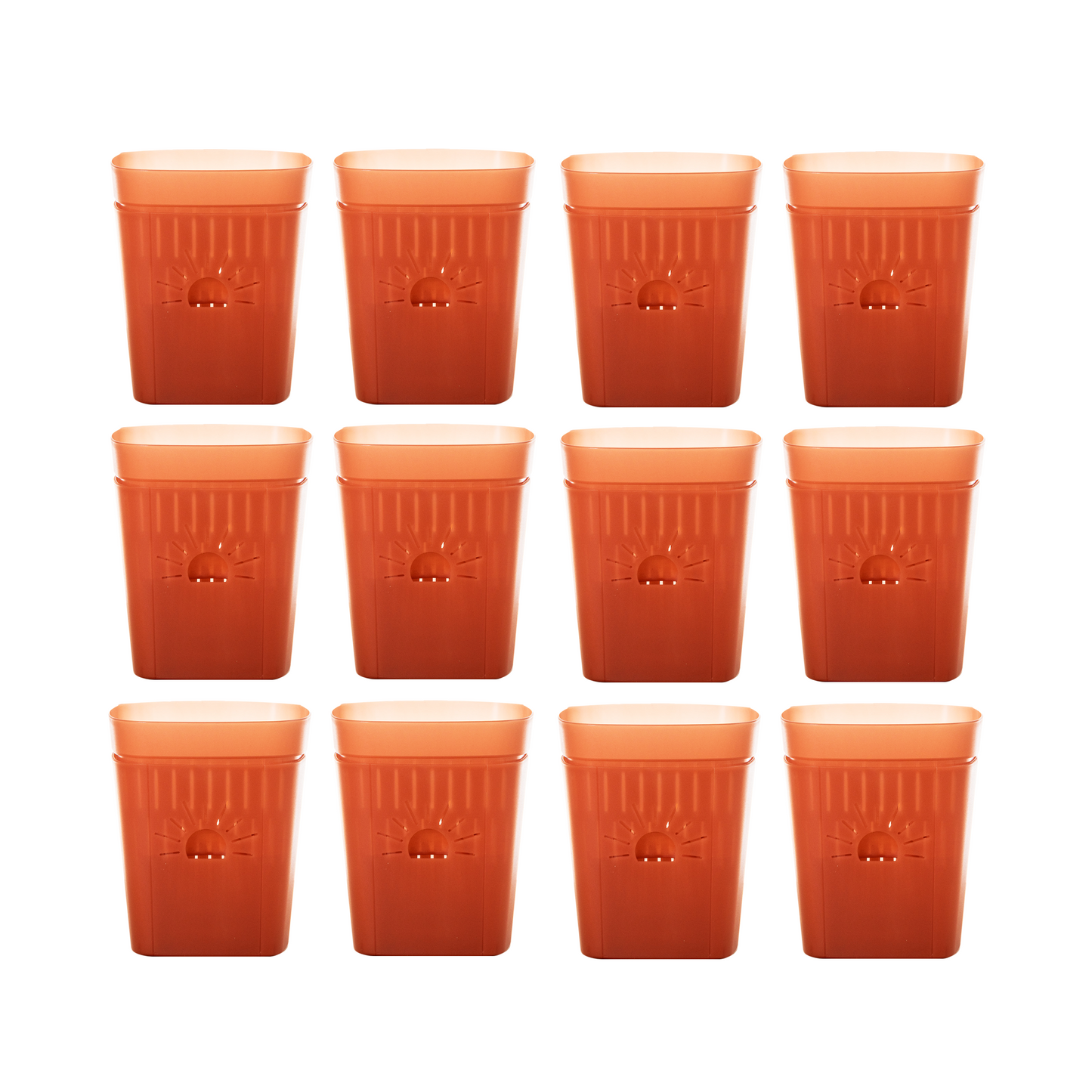 [SKU:5-12PK-Cinnamonbark] REMOVE BADGE