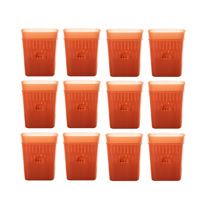 [SKU:5-12PK-Cinnamonbark] REMOVE BADGE