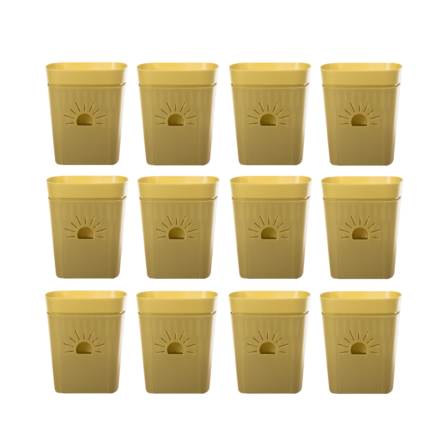 [SKU:5-12PK-Forestfern] REMOVE BADGE