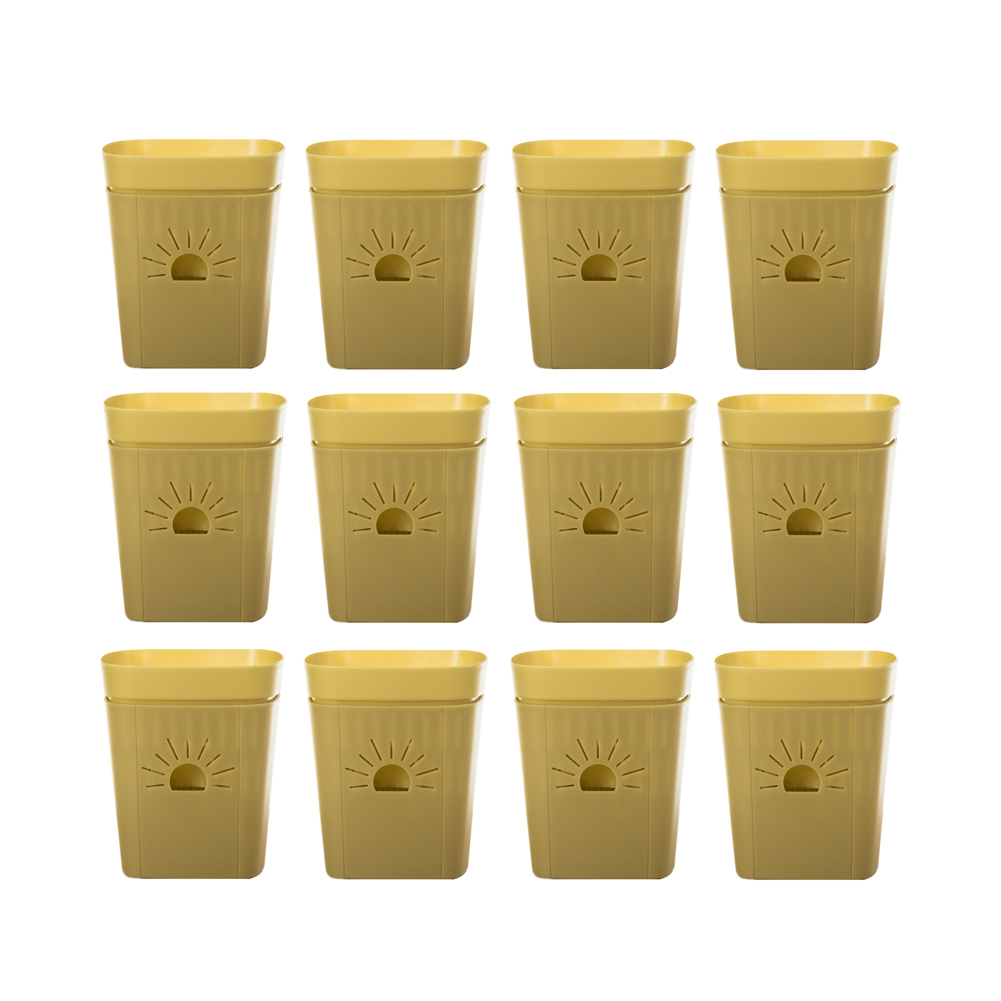 [SKU:5-12PK-Forestfern] REMOVE BADGE