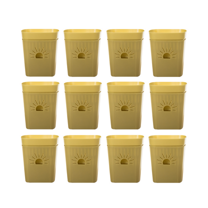 [SKU:5-12PK-Forestfern] REMOVE BADGE