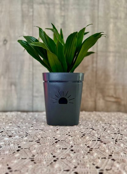 5-Inch "Breathing" Planter