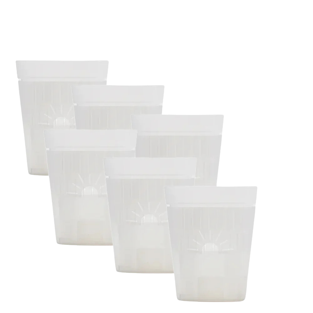 [SKU:3-6PK-Transparent]