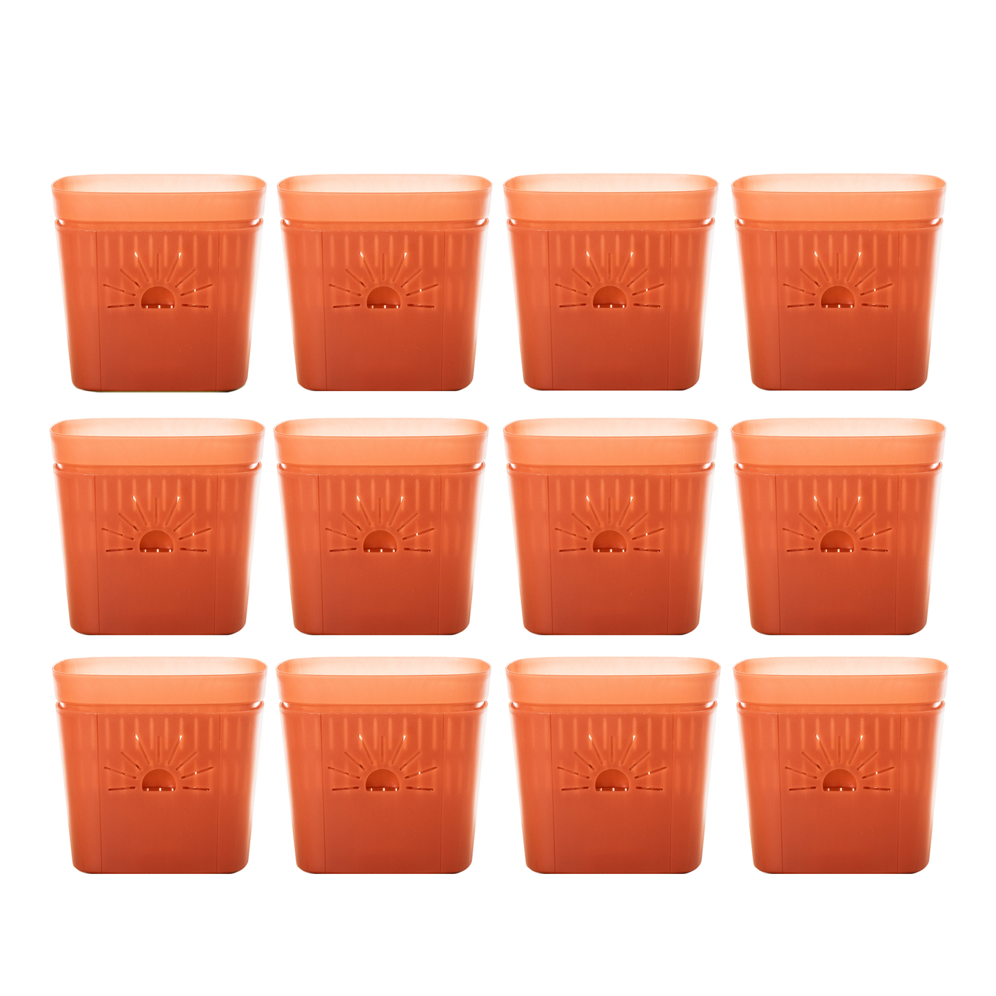 [SKU:8-12PK-Cinnamonbark] REMOVE BADGE