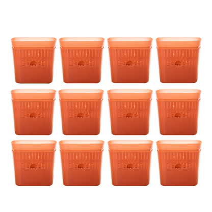 [SKU:8-12PK-Cinnamonbark] REMOVE BADGE