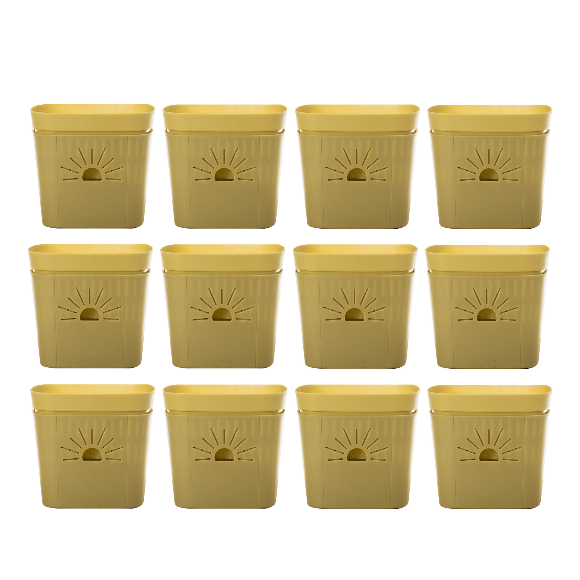 [SKU:8-12PK-Forestfern] REMOVE BADGE