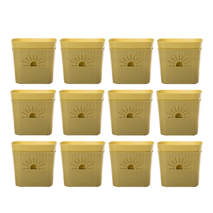 [SKU:8-12PK-Forestfern] REMOVE BADGE