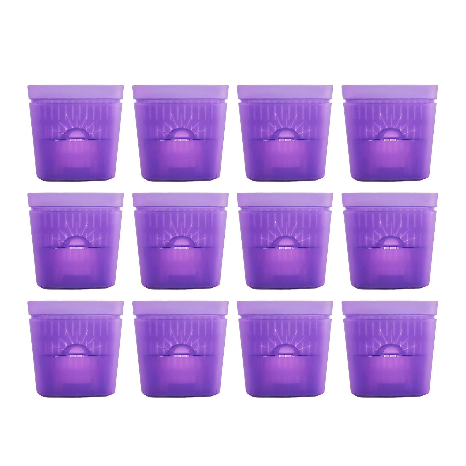 [SKU:8-12PK-Violet] REMOVE BADGE