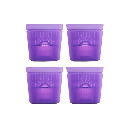 [SKU:8-4PK-Violet] REMOVE BADGE