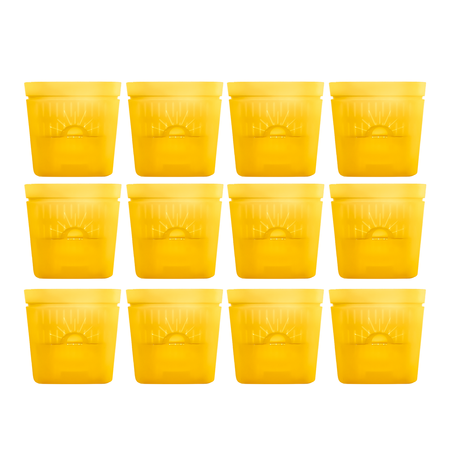 [SKU:8-12PK-Yellow] REMOVE BADGE