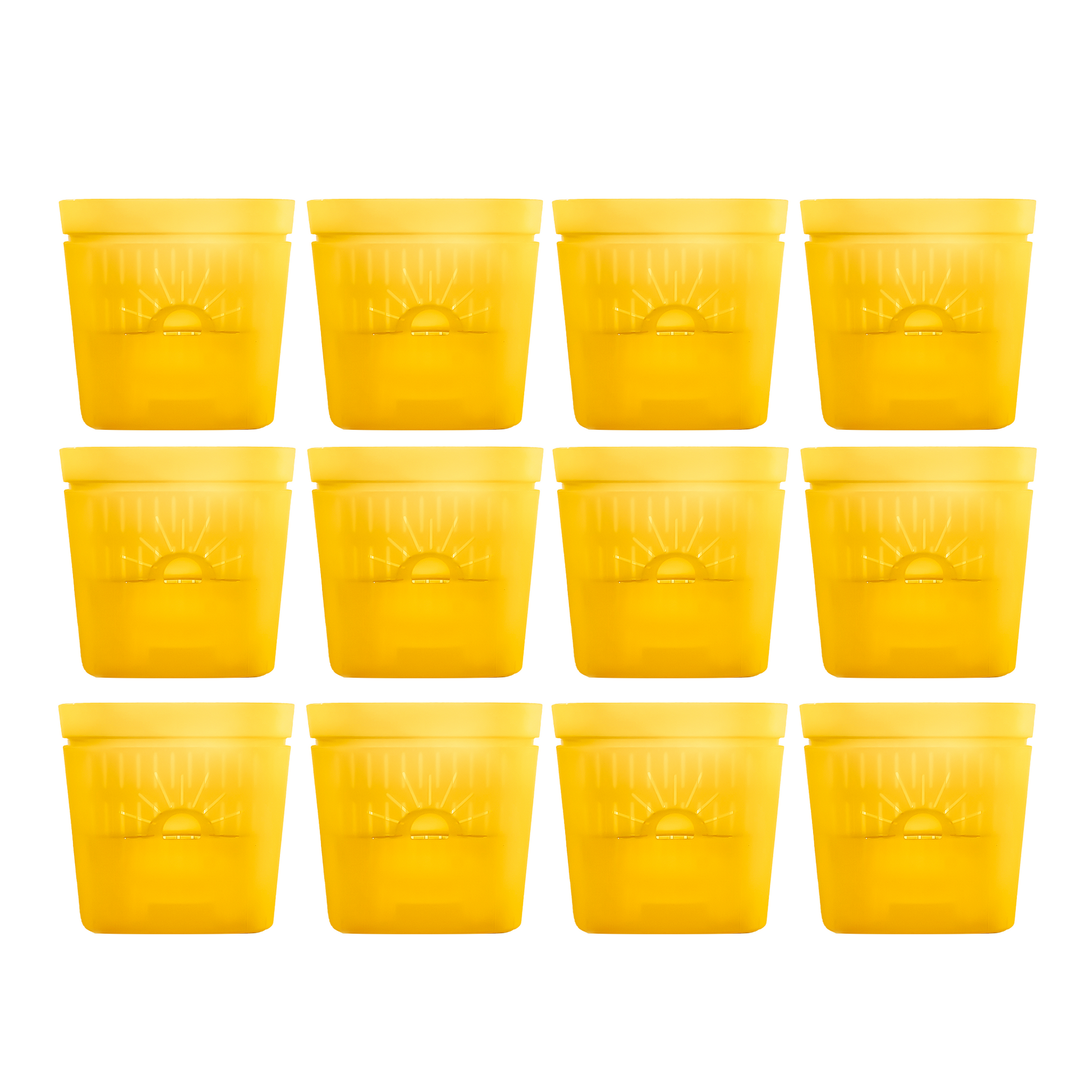 [SKU:8-12PK-Yellow] REMOVE BADGE
