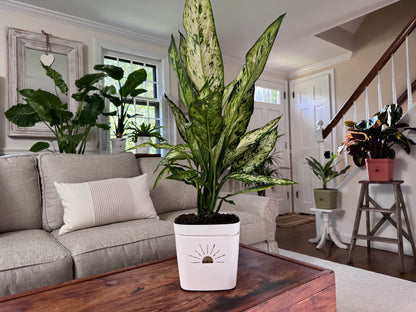 8-Inch "Breathing" Planter