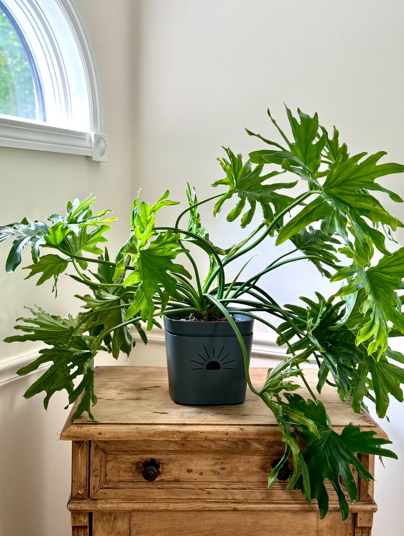 8-Inch "Breathing" Planter