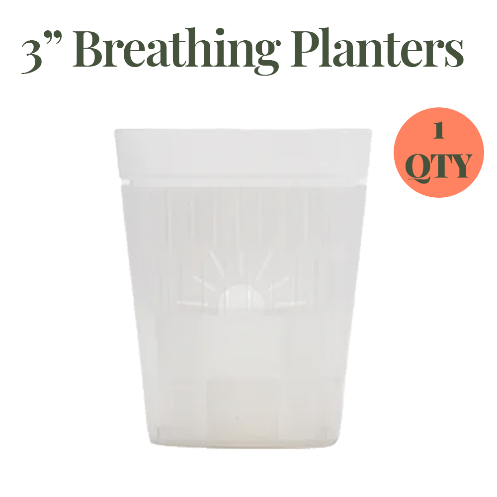 3-Inch "Breathing" Planter