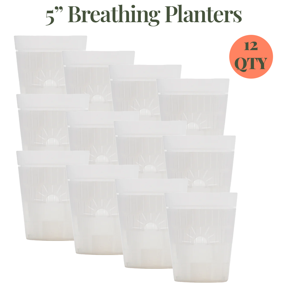 5-Inch "Breathing" Planter