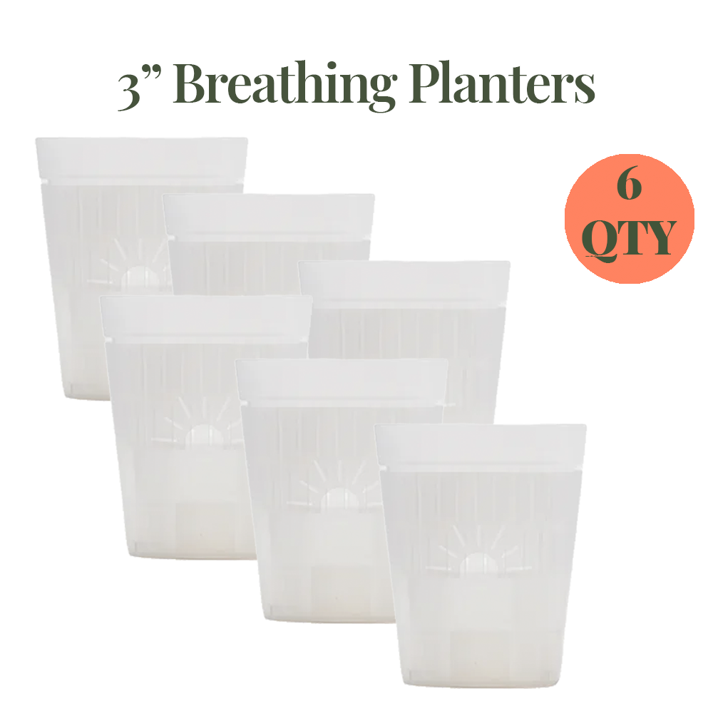 [SKU:3-6PK-TRANSPARENT]
