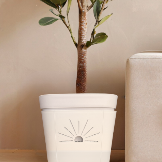 [SKU:12-1PK-Moonglow,12-4PK-Moonglow,12-8PK-Moonglow]