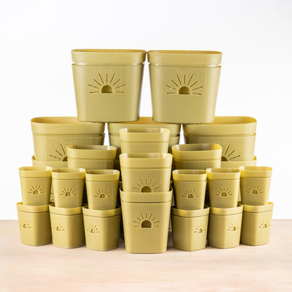 Root Zone Oxygen Planter Starter Kit (DEMO)