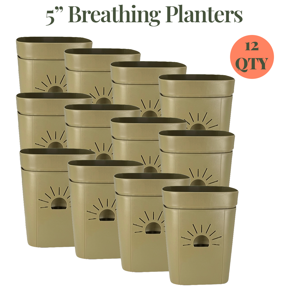 5-Inch "Breathing" Planter