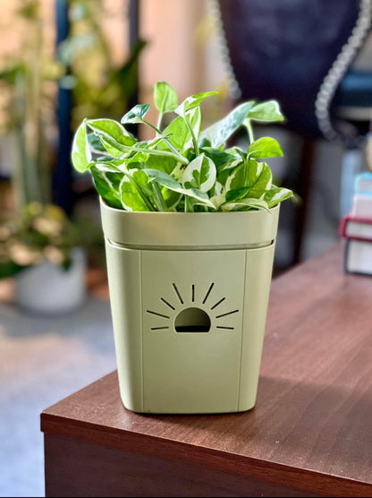 5-Inch "Breathing" Planter