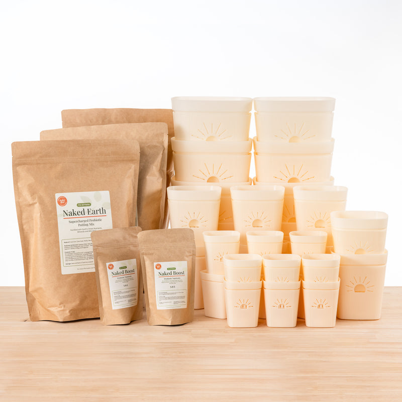 Root Zone Oxygen Planter Starter Kit Plus Soil & Fertilizer featured image