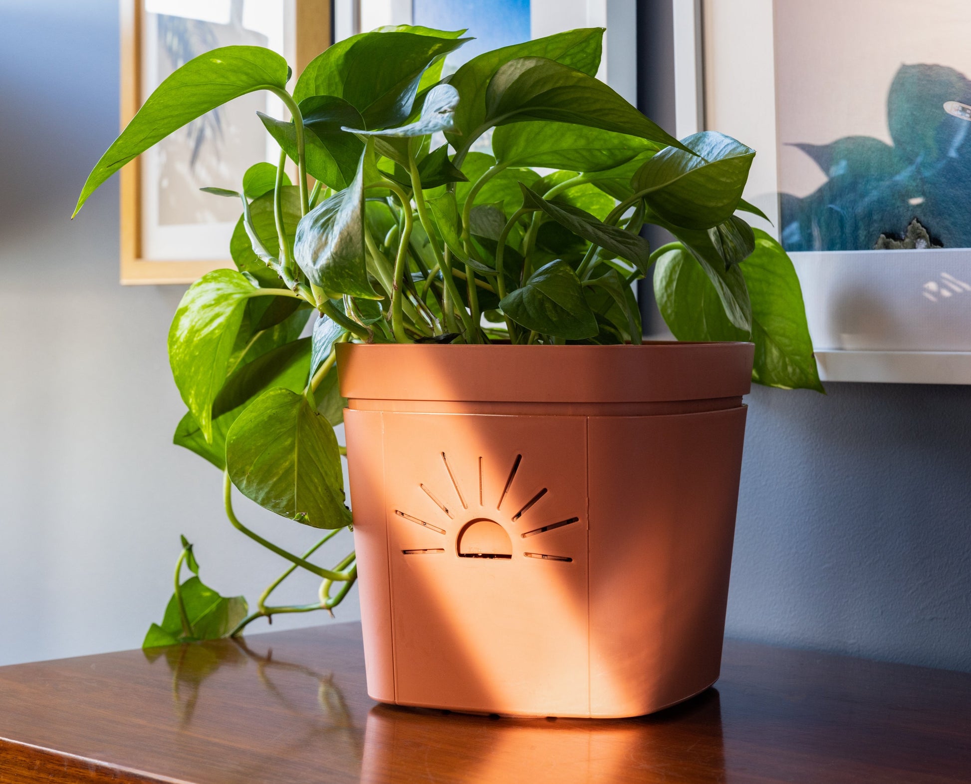 indoor planter self watering 8" Air Root Pruning Planter