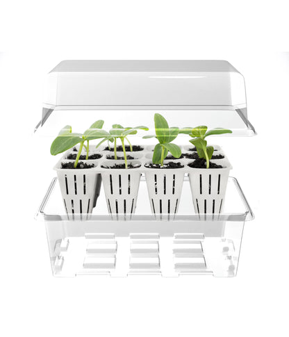 12-Cell Seed Starter w/ Clear Tray + Cover