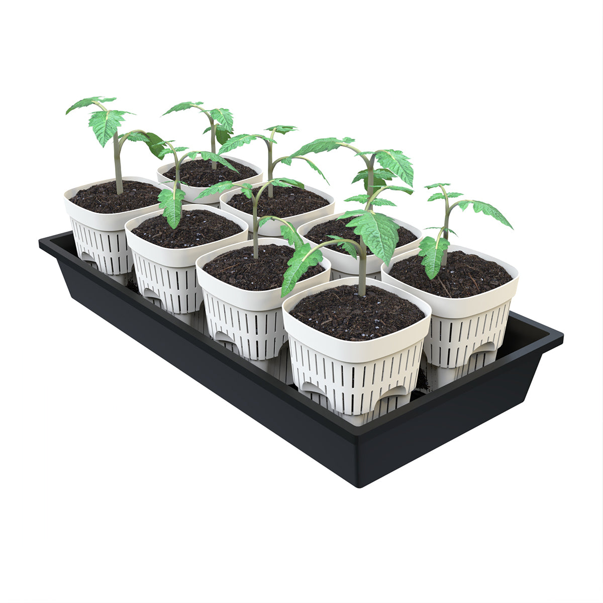 5-Inch Root-Pruning Garden Pots