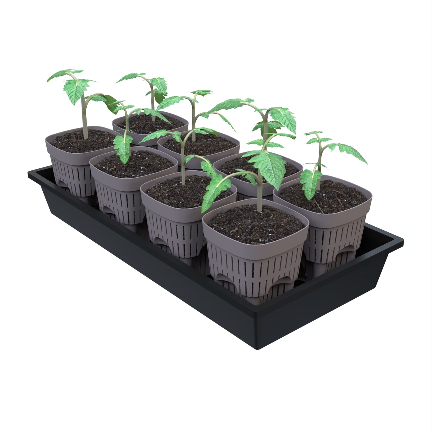 5-Inch Root-Pruning Garden Pots