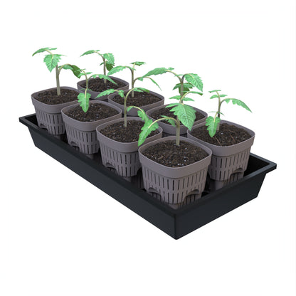 5-Inch Root-Pruning Garden Pots