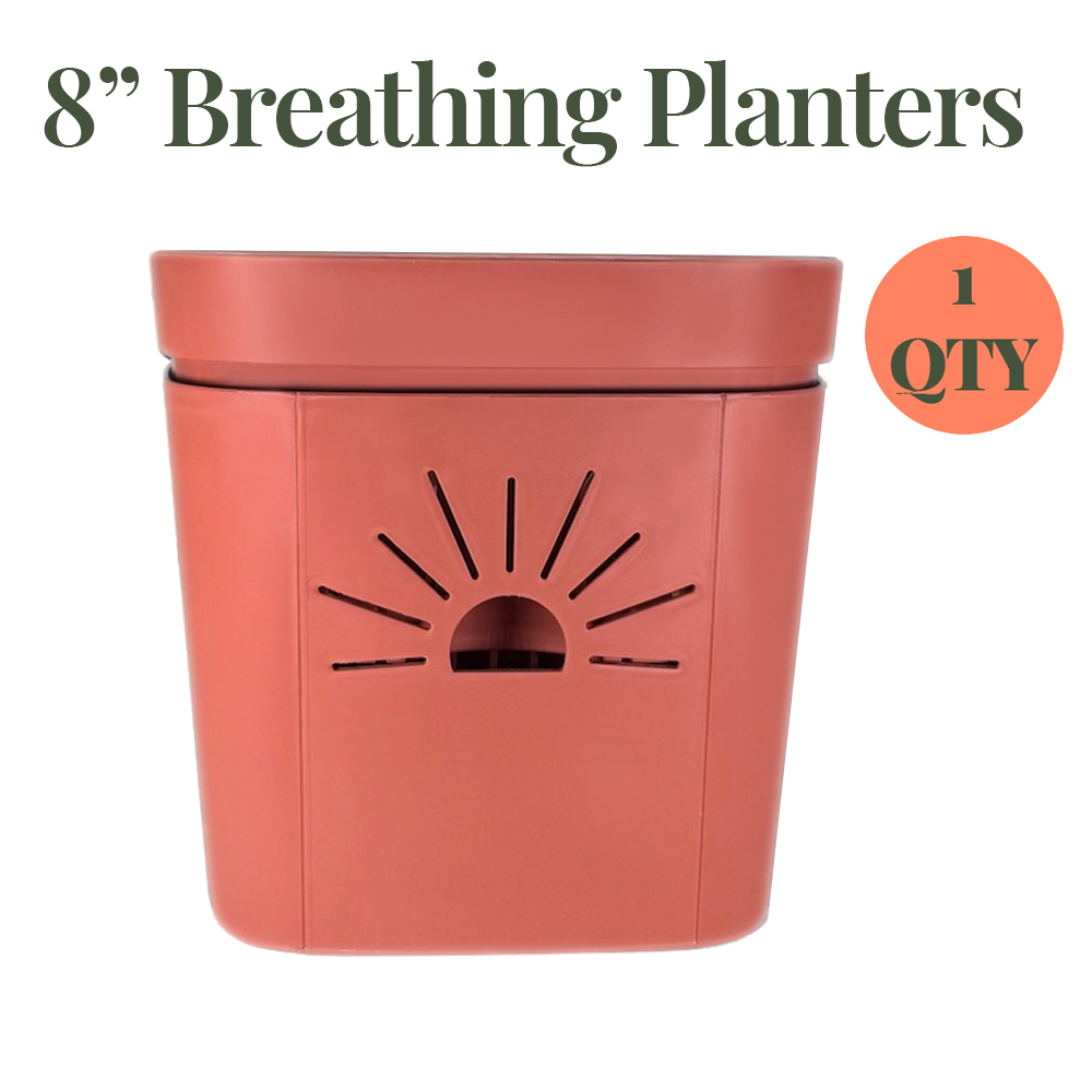 [SKU:8-1PK-Clay]