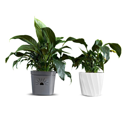 8-Inch Root-Pruning Garden Pots