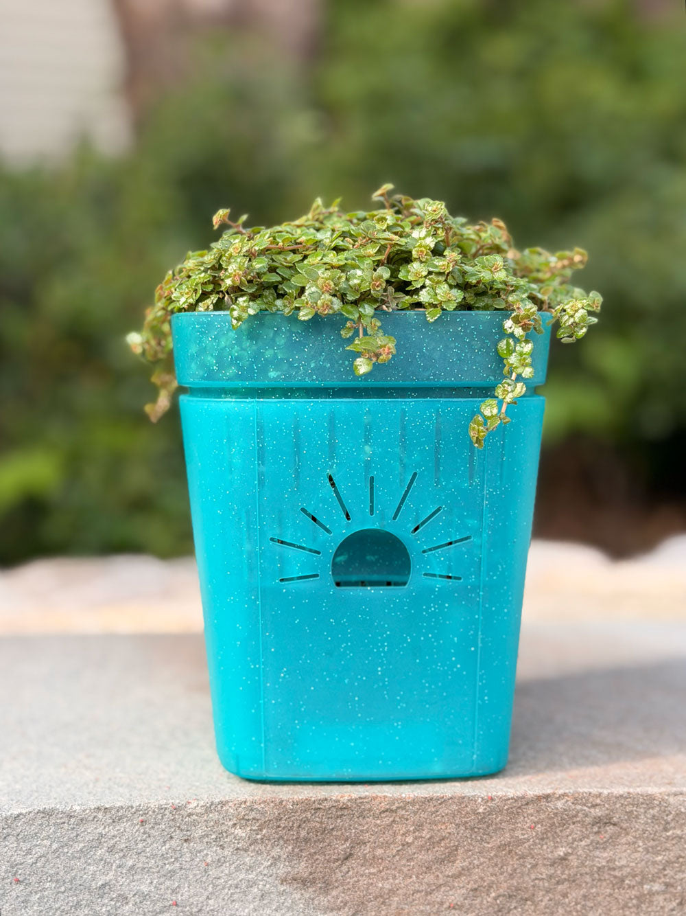 [SKU:5-1PK-Turquoise]