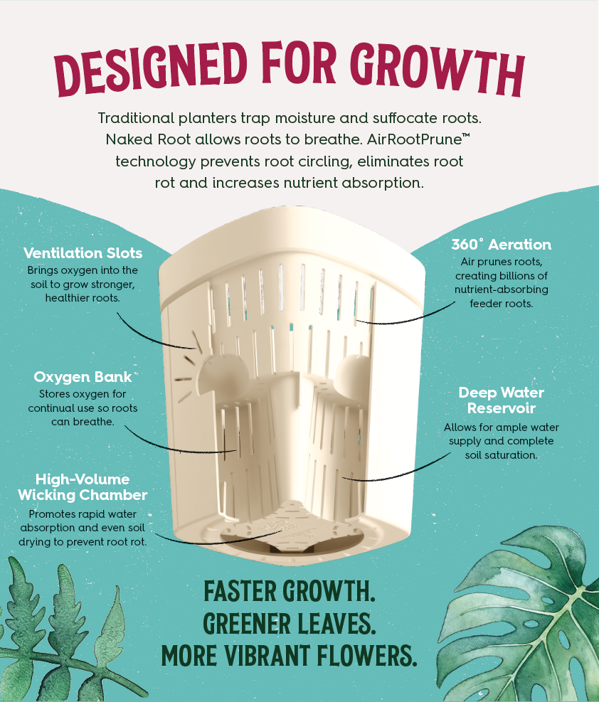 Designed for Growth — cutaway of a Naked Root planter showing ventilation slots, oxygen bank, high-volume wicking chamber, 360° aeration, and deep water reservoir. Traditional planters trap moisture and suffocate roots. Naked Root allows roots to breathe. AirRootPrune technology prevents root circling, eliminates root rot and increases nutrient absorption. Faster growth, greener leaves, more vibrant flowers.