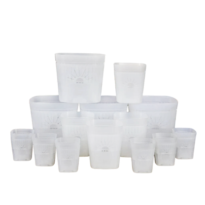 [SKU:PSK-1PK-Transparent]