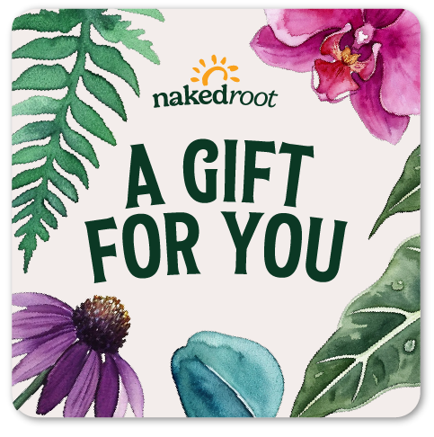 Naked Root Gift Card