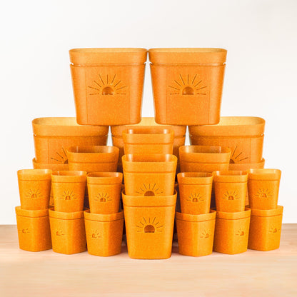Root Zone Oxygen Planter Starter Kit in Pumpkin Sugar