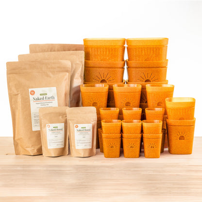 Root Zone Oxygen Planter Starter Kit Plus Soil & Fertilizer in Pumpkin Sugar