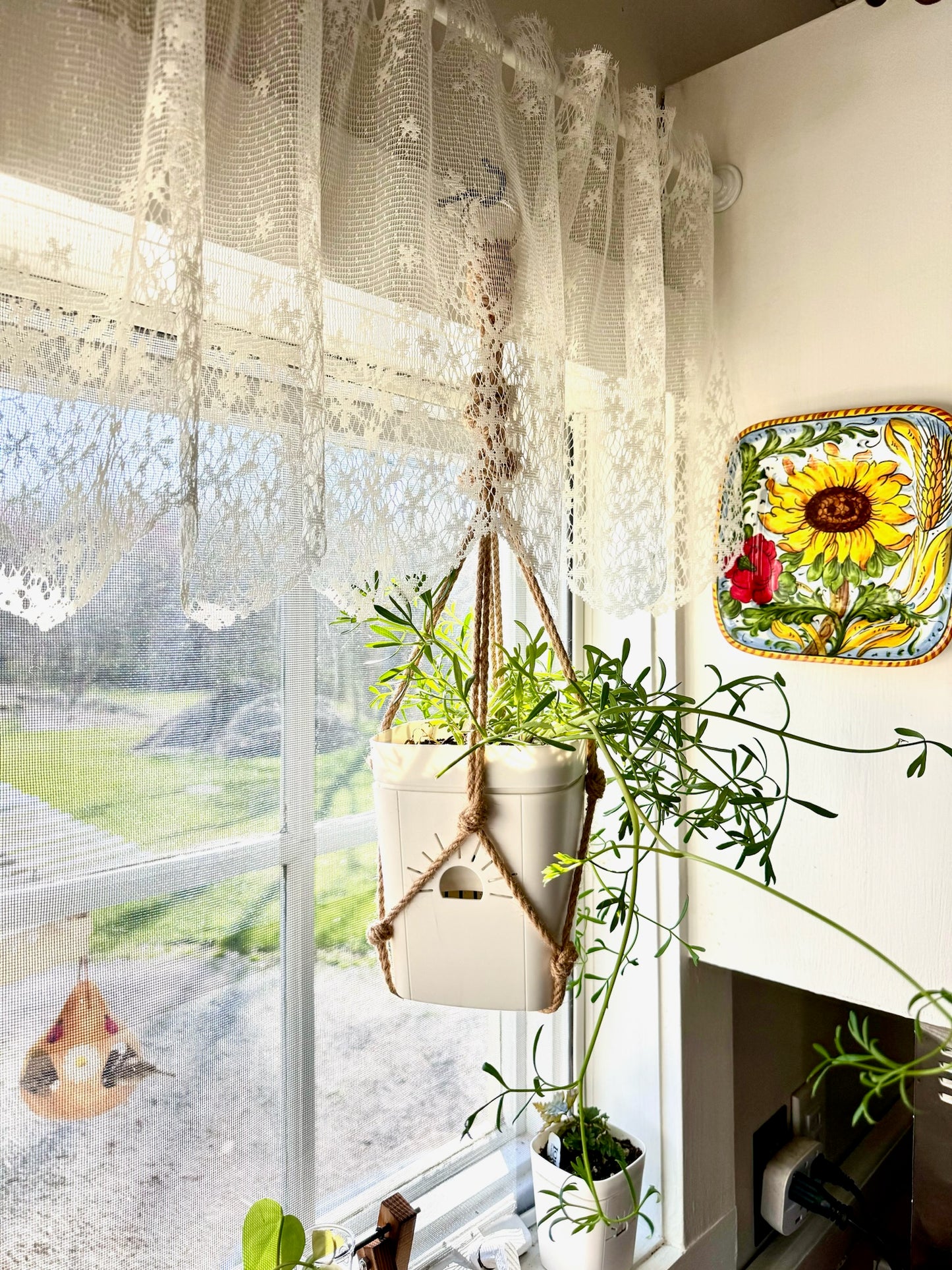 Hemp Plant Hanger