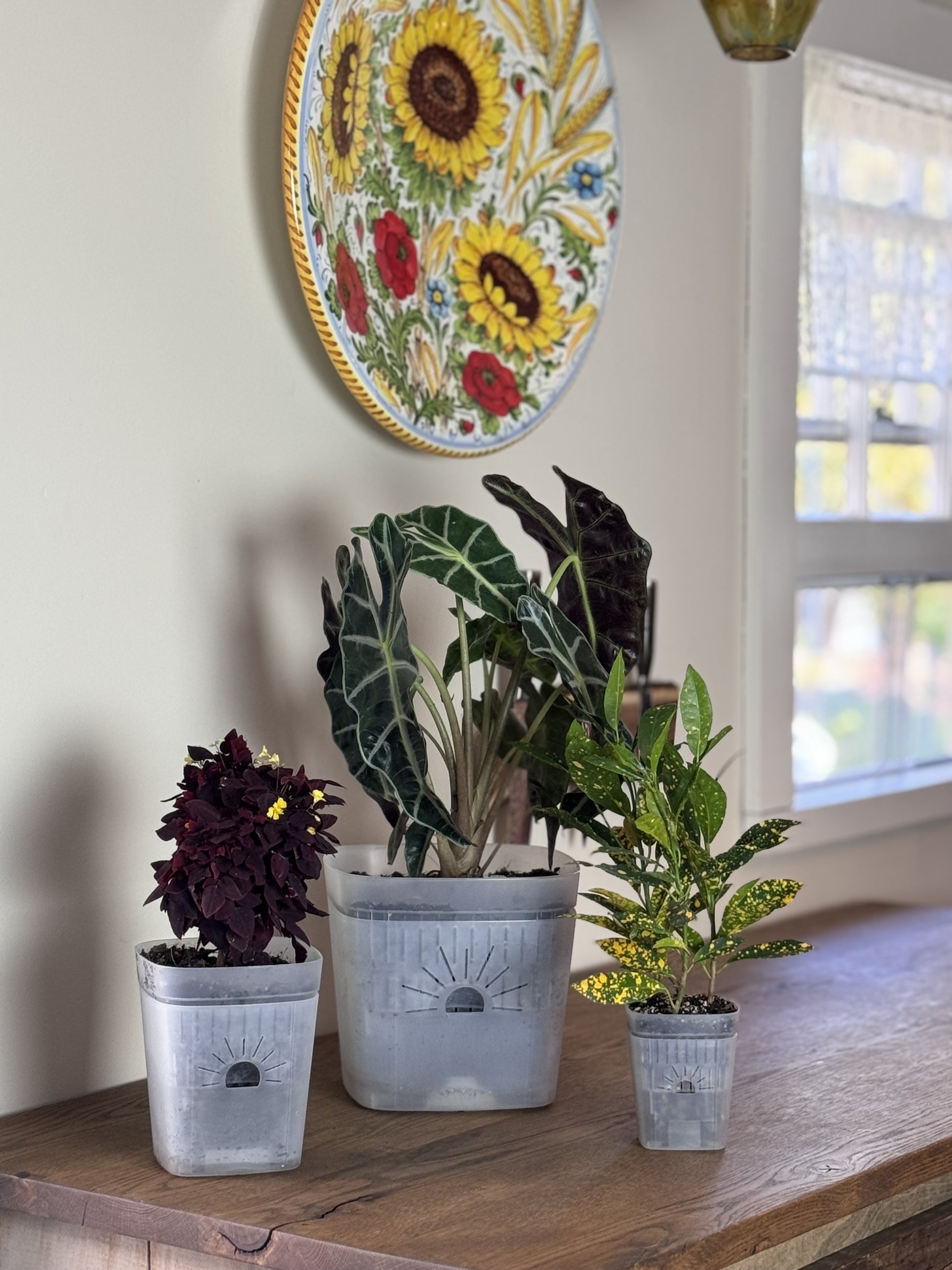 deep root plant pots 8" Air Root Pruning Planter