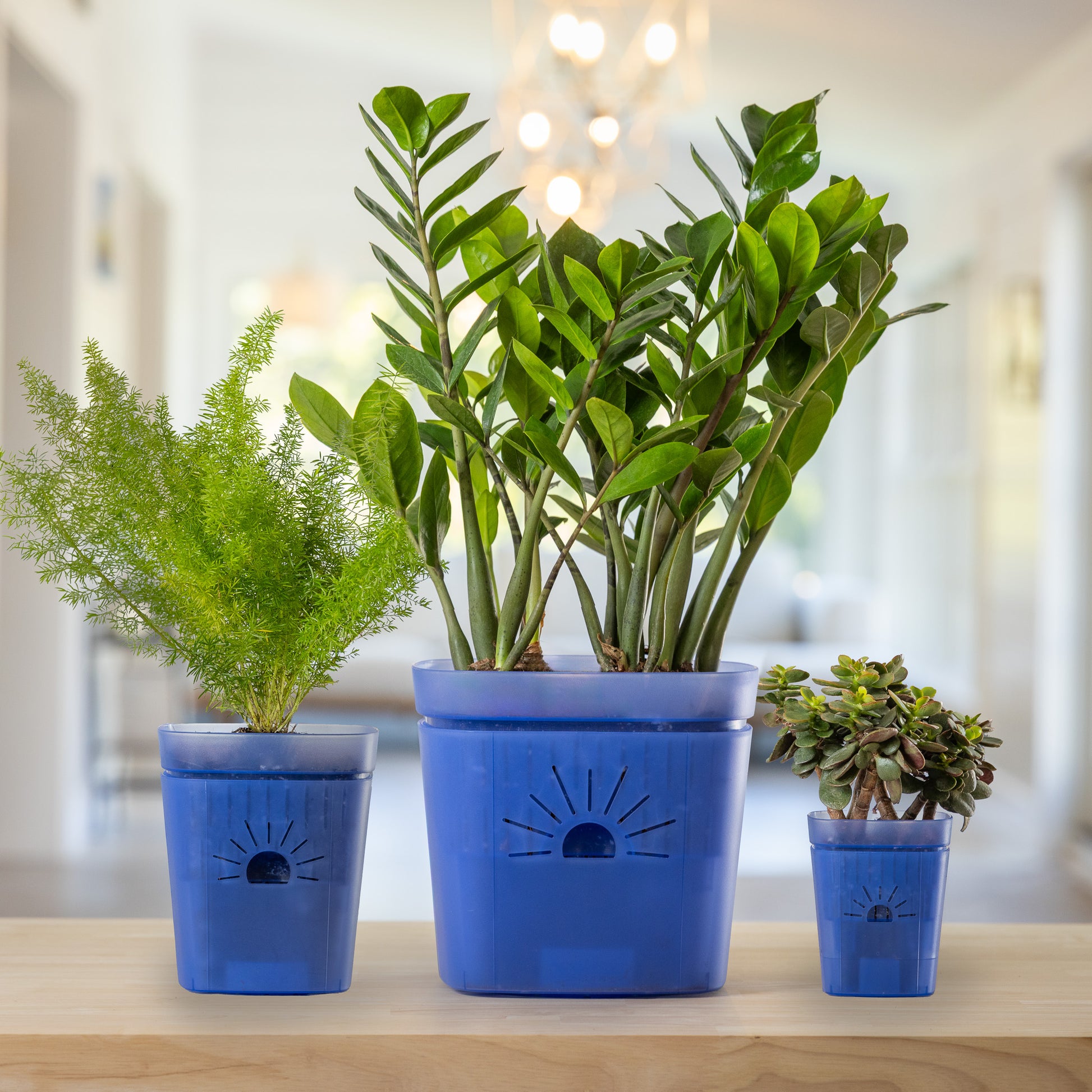 [SKU:SAMPLER-1PK-Blue]