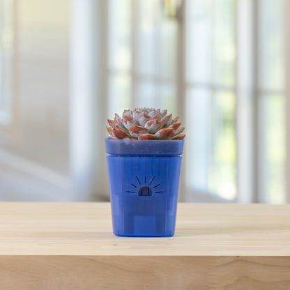 [SKU:3-1PK-Blue,3-4PK-Blue,3-6PK-Blue,3-8PK-Blue,3-12PK-Blue,3-18PK-Blue]