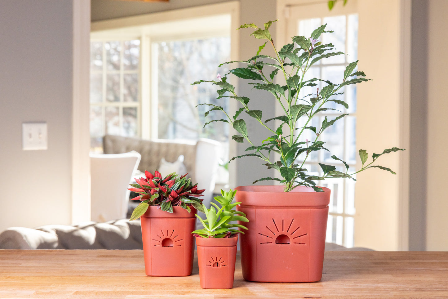 Planter Sampler Kit (DEMO)