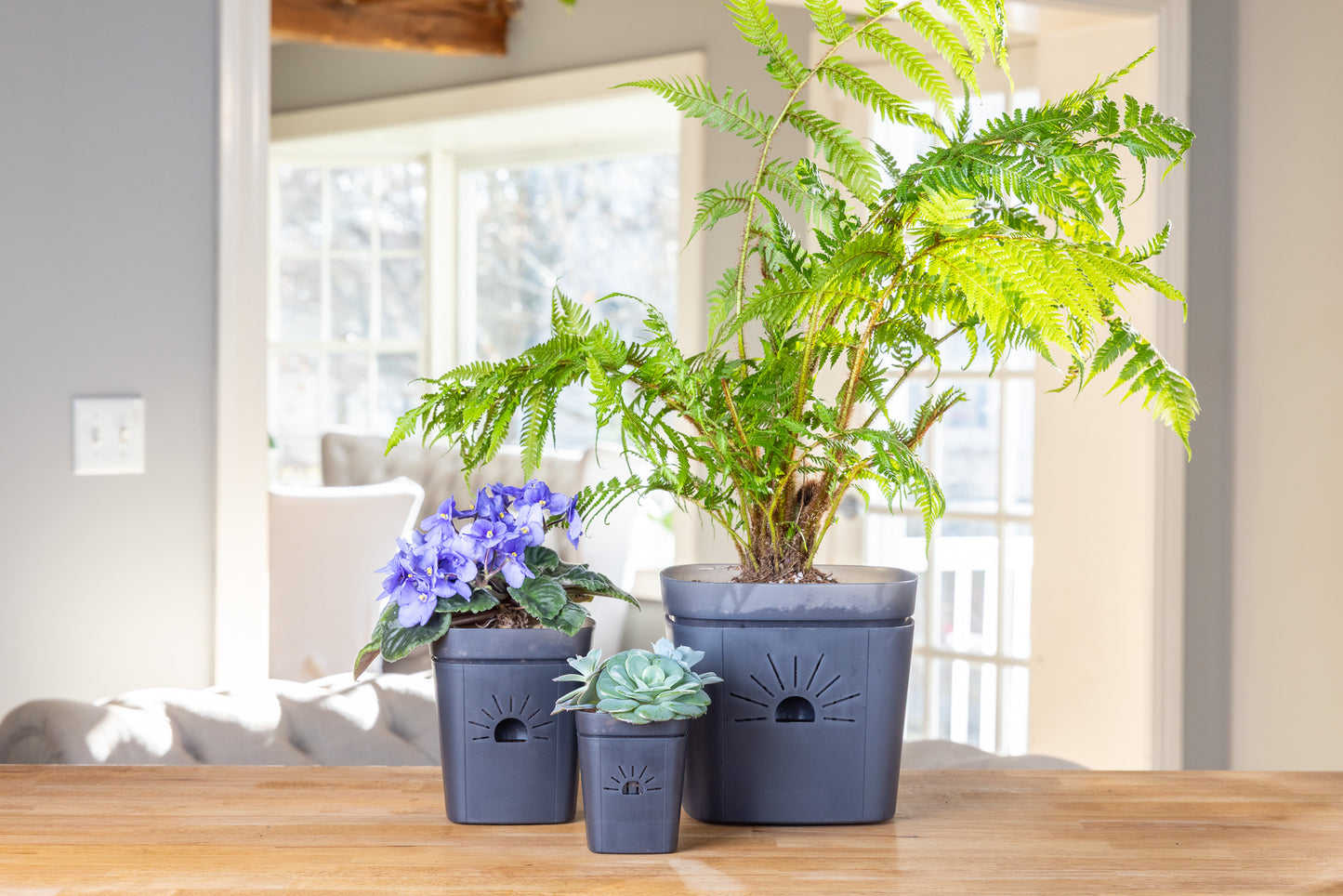 Planter Sampler Kit (DEMO)